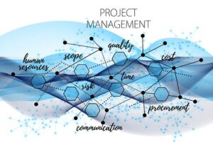 Project Management, Networking